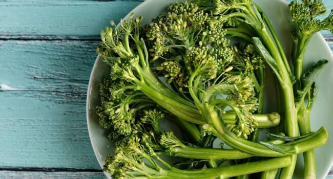 5 tipos de brocoli para cultivar descubre la variedad