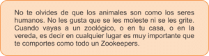 atraer ardillas a tu jardin como crear un habitat amigable para ellas