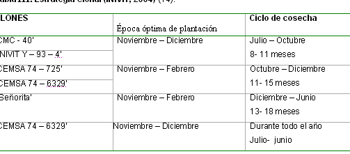 cada cuanto florecen las plantas de yuca guia completa de floracion