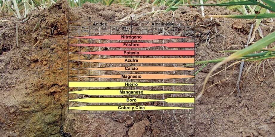 cal en el jardin guia completa para ajustar el ph del suelo