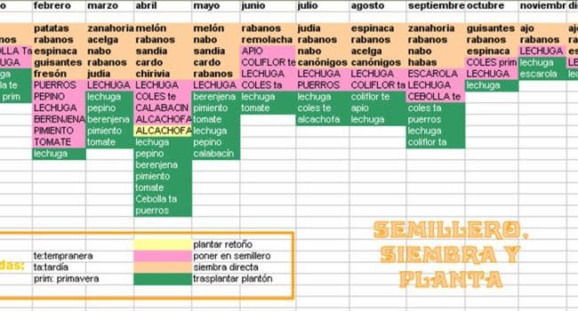 calendario de siembra para la zona 9 guia completa para vegetales y frutas