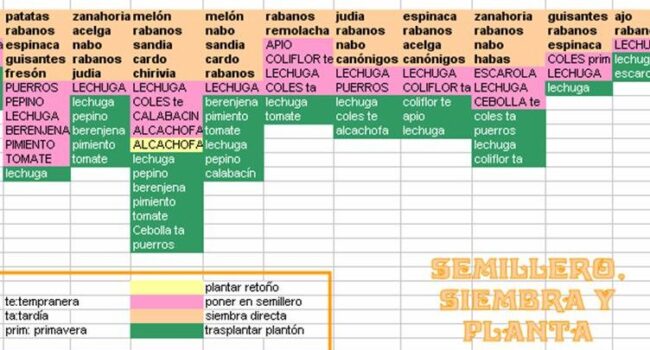 calendario de siembra zona 7 guia de plantacion de verduras