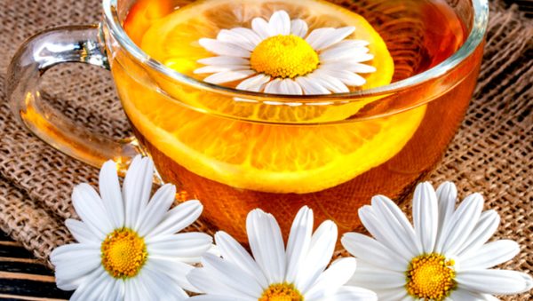camomila como usar sus flores y hojas en la cocina