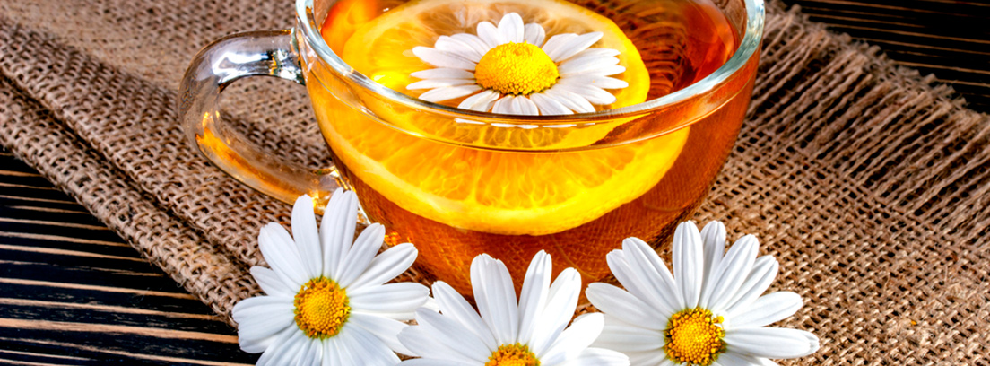 camomila como usar sus flores y hojas en la cocina