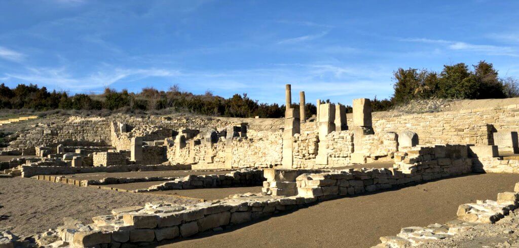 Cerezo de arena de hojas moradas: Belleza invernal y arbustos encantadores