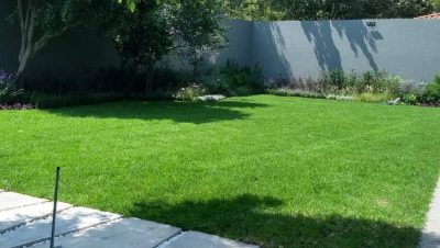 cesped en arena guia definitiva para un jardin verde