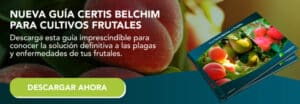 ciruelo sin frutos por que no da ciruelas y como solucionarlo