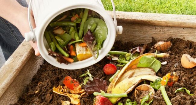 Cómo Agregar Compost a Tu Jardín: Guía Completa para Suelos Saludables