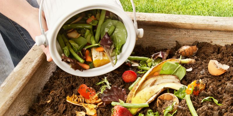 Cómo Agregar Compost a Tu Jardín: Guía Completa para Suelos Saludables