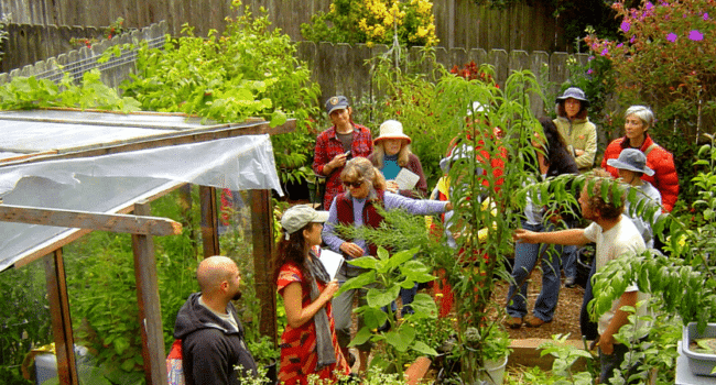 como almacenar mulch en bolsas evita el moho y disfruta de un jardin saludable