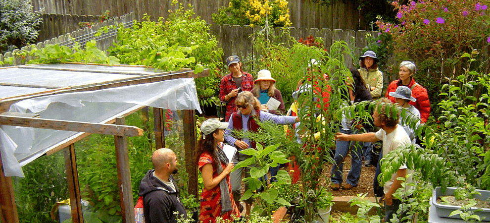 como almacenar mulch en bolsas evita el moho y disfruta de un jardin saludable