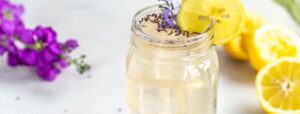 como cocinar con lavanda recetas y usos sorprendentes