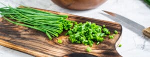 como cosechar chives guia completa para un sabor fresco