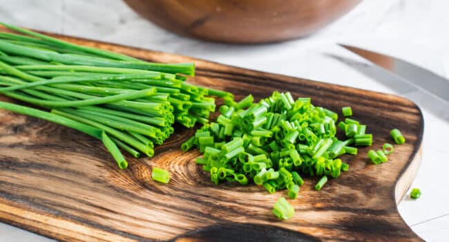 Cómo Cosechar Chives: Guía Completa para un Sabor Fresco