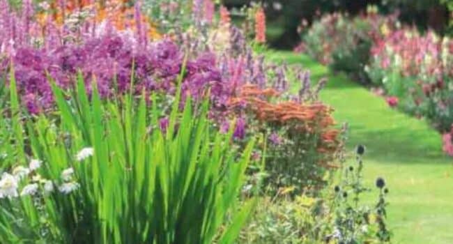 como crear un jardin de flores paso a paso guia completa para principiantes