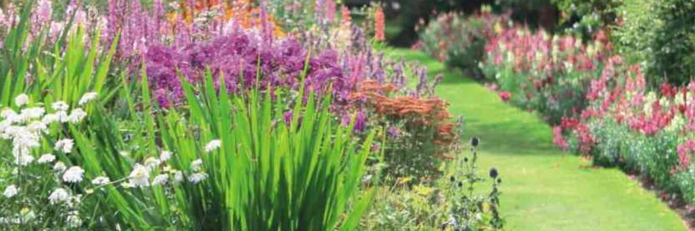 como crear un jardin de flores paso a paso guia completa para principiantes