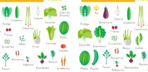 como cultivar guisantes guia completa para una cosecha exitosa