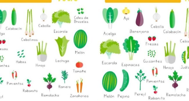 como cultivar guisantes guia completa para una cosecha exitosa