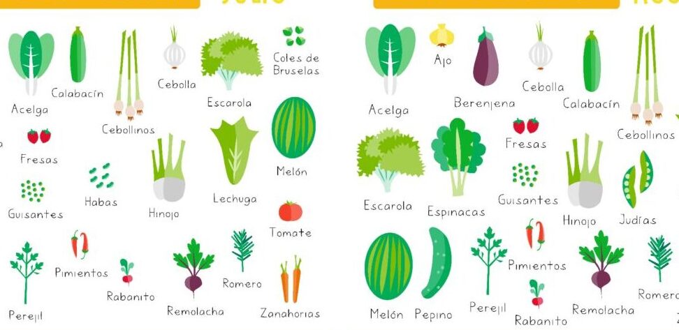 como cultivar guisantes guia completa para una cosecha