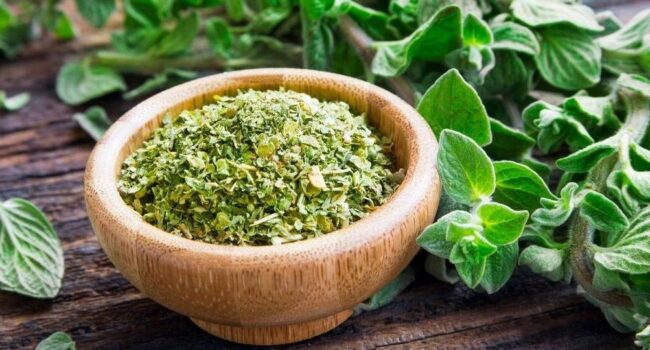 como cultivar oregano a partir de semillas guia completa para principiantes