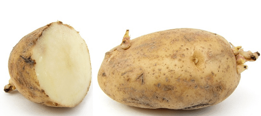 Cómo cultivar plantones de batata: en agua o tierra, ¡tú eliges!