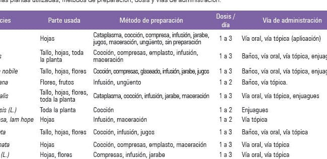 como hacer cataplasmas herbales guia paso a paso para aliviar dolores