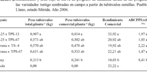 como iniciar plantones de batata guia completa para una cosecha excepcional