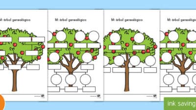 como saber la edad de un arbol guia completa para principiantes