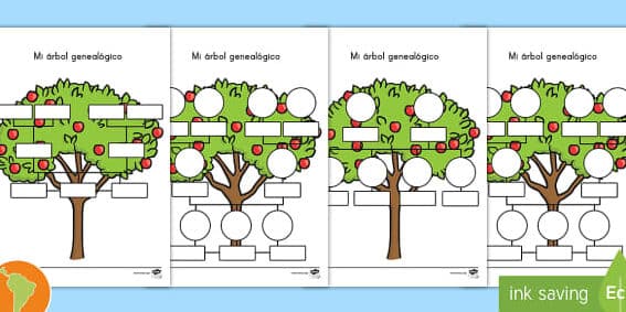 como saber la edad de un arbol guia completa para principiantes