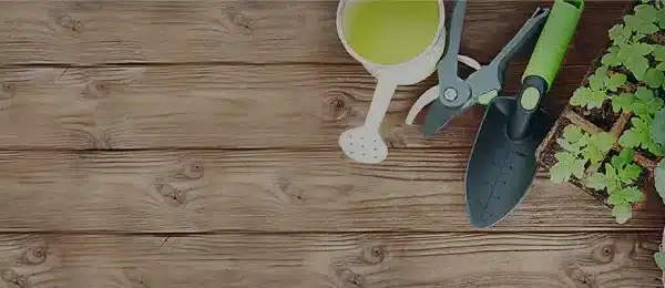 compostaje con agujas de pino guia completa para un compost saludable