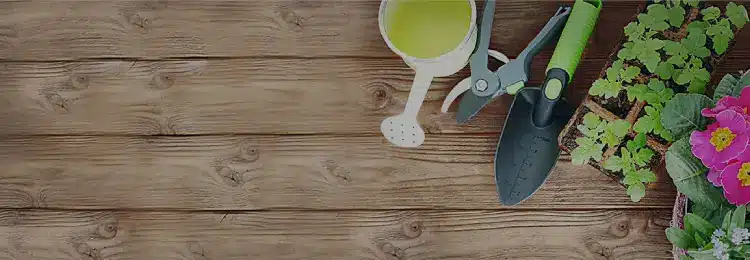 compostaje con agujas de pino guia completa para un compost saludable