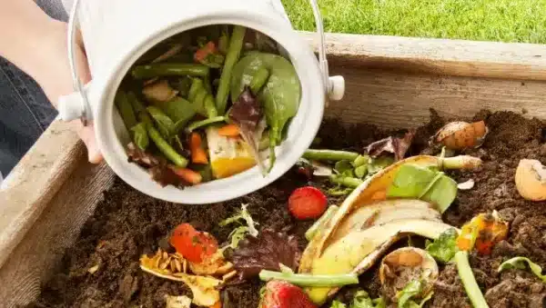 compostar hojas guia completa para un jardin sano
