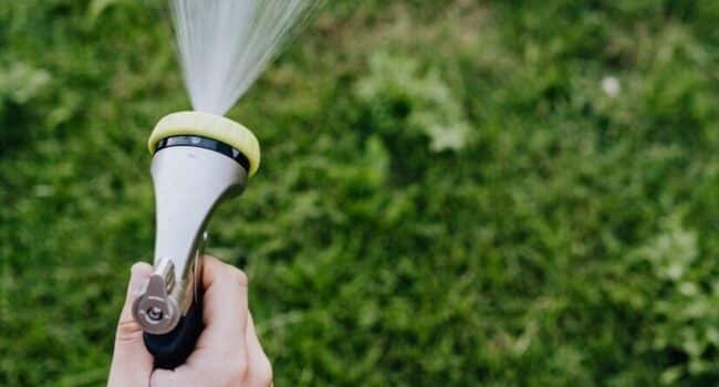 cuanto tiempo regar tu jardin guia completa para un crecimiento saludable