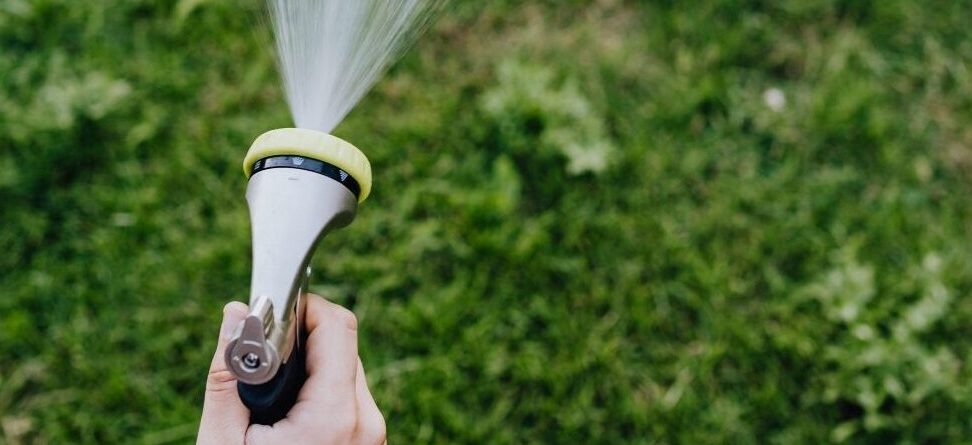 cuanto tiempo regar tu jardin guia completa para un crecimiento saludable