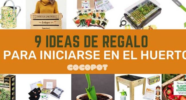 cultivar clavos como plantar y cuidar tu arbol de especias