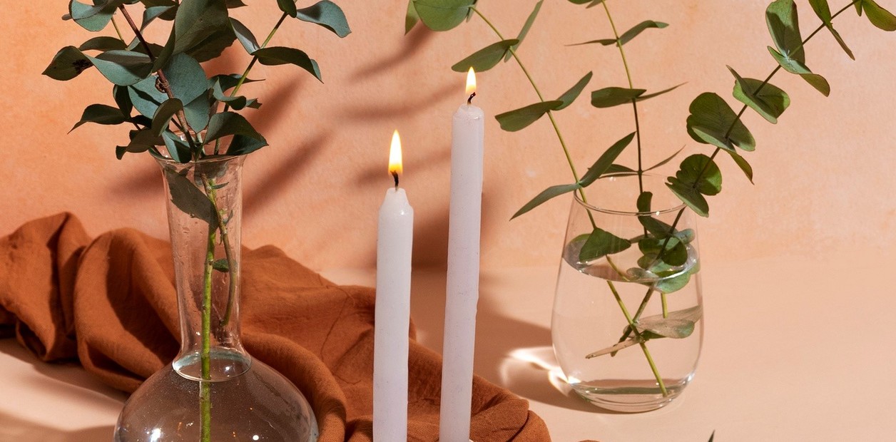 cultivar eucalipto en interiores guia completa para un hogar aromatico