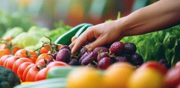 cultivar sandias cuadradas un proyecto divertido y delicioso