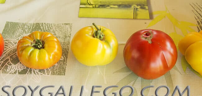 cultivar tomates dulces guia definitiva para un sabor exquisito