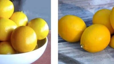 Cultivar un Limonero Meyer: Guía Completa de Cuidado