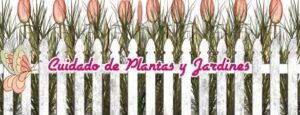 despuntar gardenias guia completa para flores mas abundantes