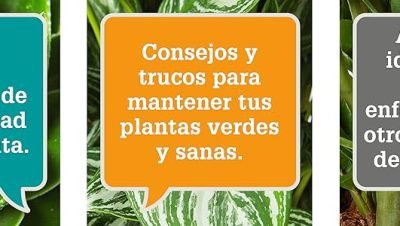 el agua ablandada mata a tus plantas