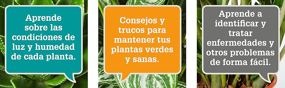 el agua ablandada mata a tus plantas