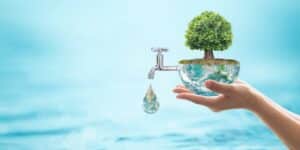 el agua clave para el crecimiento sano de las plantas