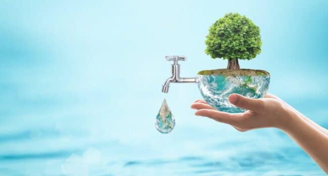 El agua: clave para el crecimiento sano de las plantas