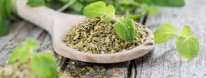 el aroma del oregano a que huele esta hierba aromatica