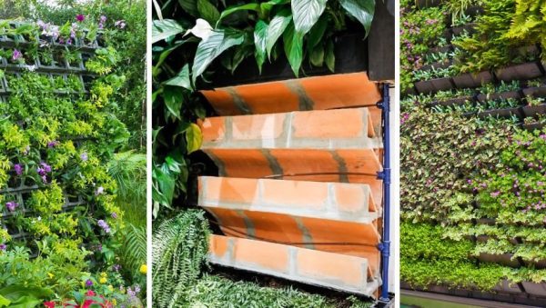 enredaderas que prosperan en la sombra guia para jardines sombreados