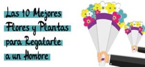 flores para hombres guia para regalar flores masculinas