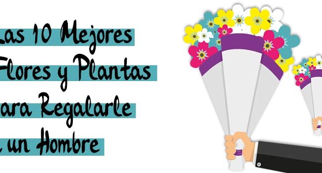 Flores para Hombres: Guía para Regalar Flores Masculinas