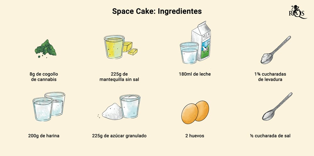 guia definitiva como cultivar vainilla en casa paso a paso