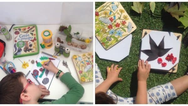 guia definitiva usando carton en tu jardin